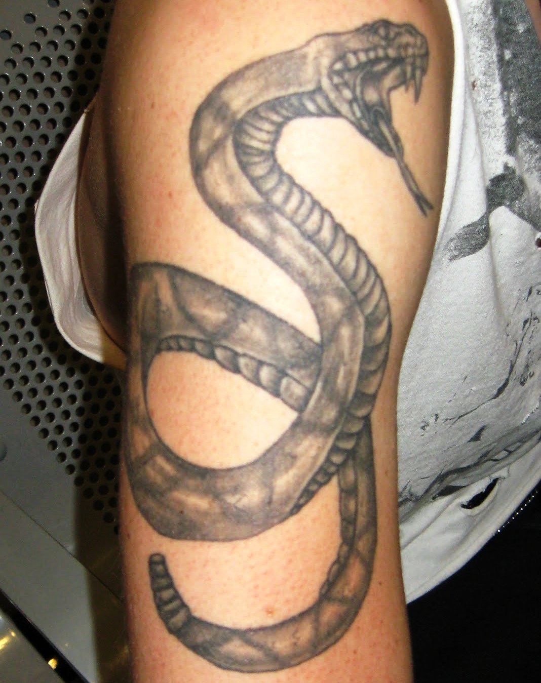 http://allaboutbodyart.blogspot.com/ rattlesnake_tattoo_designs_arm_tattoo_snakes