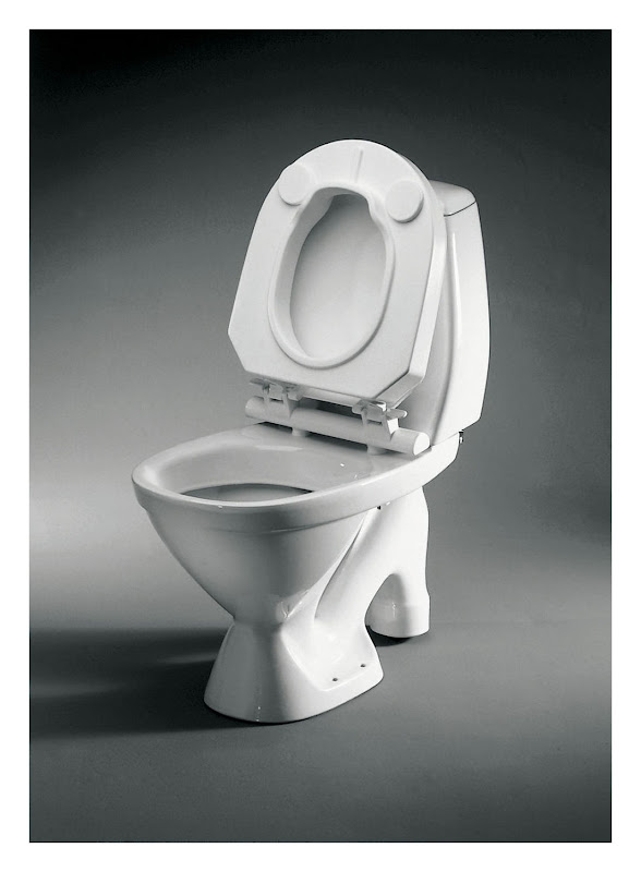 Toilet Bowl (Photo from Google Images) title=