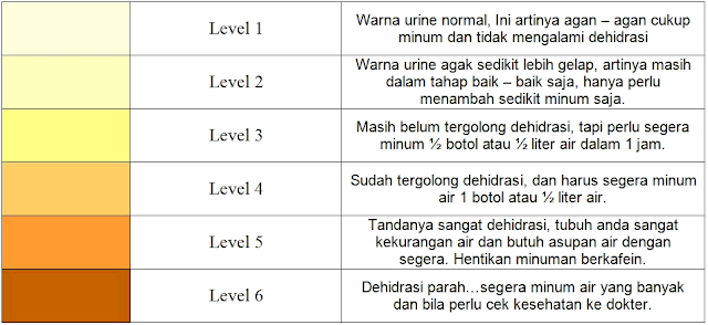 Tempoh kehamilan bagi dos harian sebanyak 400 mcg.*