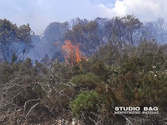 Θέσεις εργασίας για 6 Φύλακες Πυρασφάλειας στο Δήμο Άργους-Μυκηνών