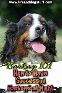 Barking 101 - How to Have Successful Barkoffs at Night.