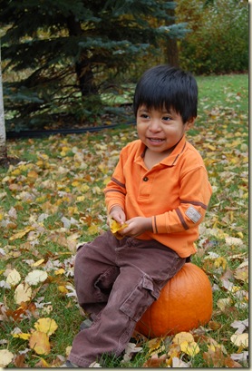 fall 09 010