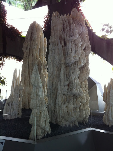 gardens by the bay cloud forest crystal mountain stalagmites stalactites