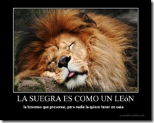 humor compartir (34)