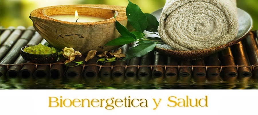 Bioenergética & Salud