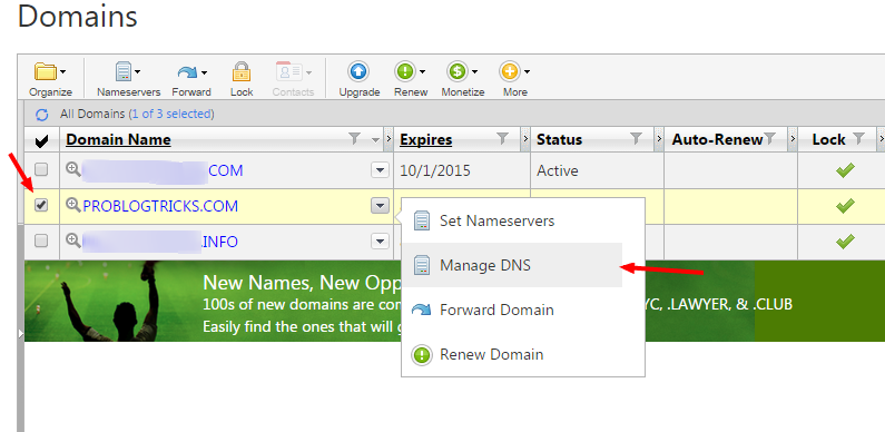 Manage DNS - Domains