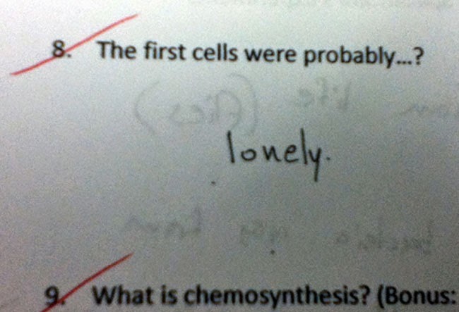 These 38 Genius Answers Are Ridiculously Hilarious And 100% Wrong