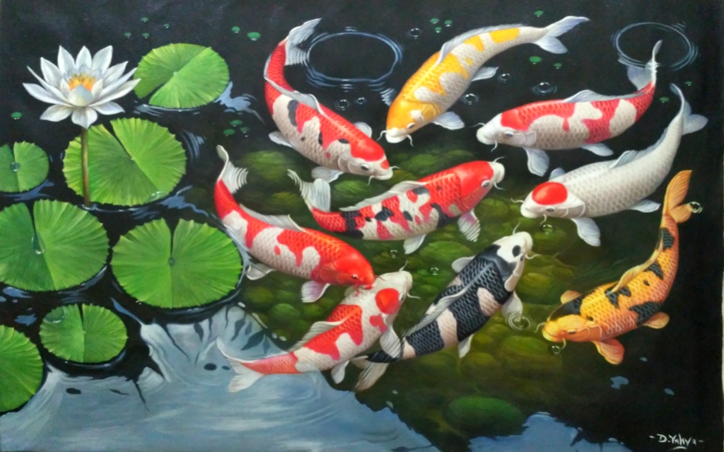 44 Top Fengshui Gambar Ikan Koi