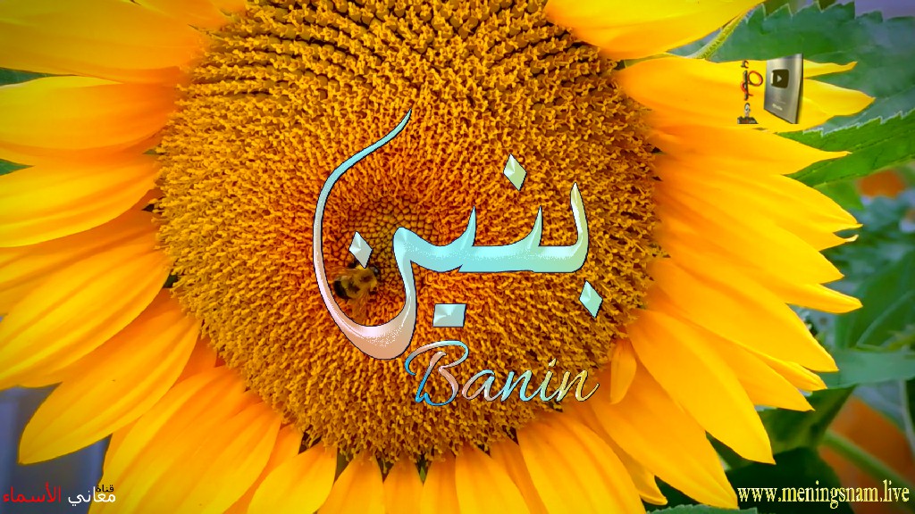 معنى اسم, بنين, وصفات, حامل, هذا الاسم, Banin,