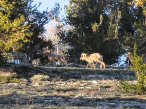 IMG_0179