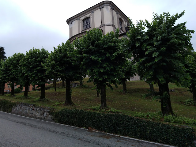 Viale di Tigli Capitozzati