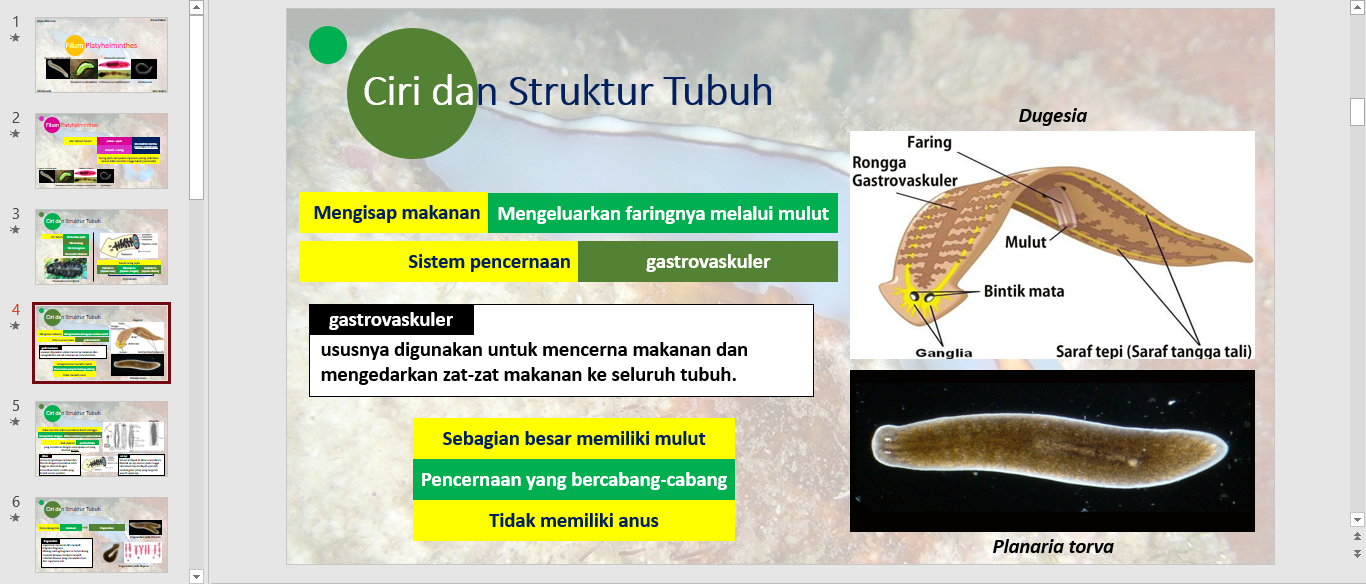 4 Cara Efektif Membuat Presentasi dengan Shape dan Animasi  