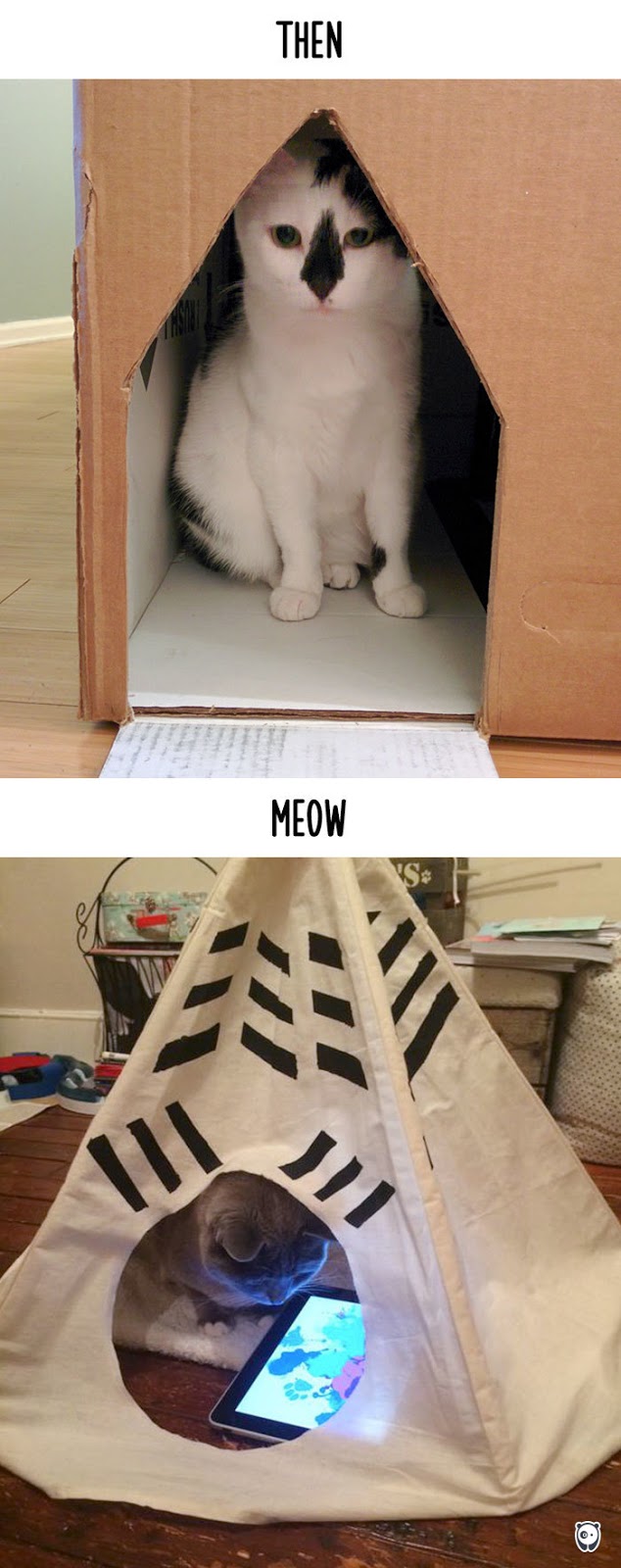Then vs Meow How Technology Has Changed Cats’ Lives (10+ Pics) - Housing