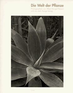 Welt der Pflanze: Photographs by Albert Renger-Patzsch and Auriga