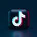 Is TikTok planning to label content created by artificial intelligence, including that from OpenAI and other sources?