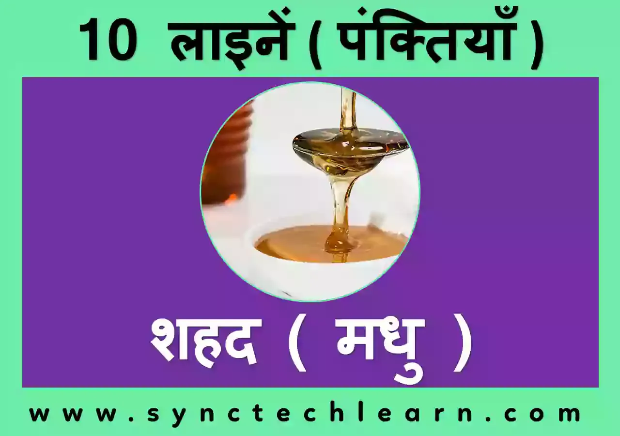 शहद  पर 10 लाइन वाक्य - 10 lines on Honey in Hindi