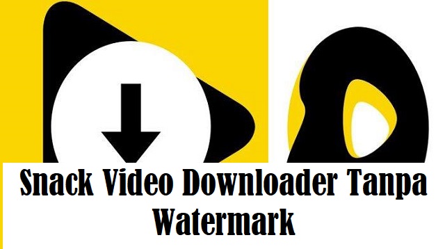 Snack Video Downloader Tanpa Watermark