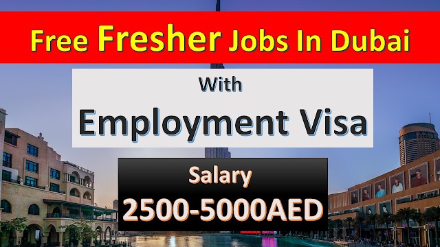 Fresher Jobs In Dubai | Dubai Fresher Jobs | Apply Fast |    