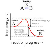 What is the difference between thermodynamic stability and the kinetic stability?