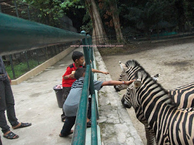 kebun binatang siantar