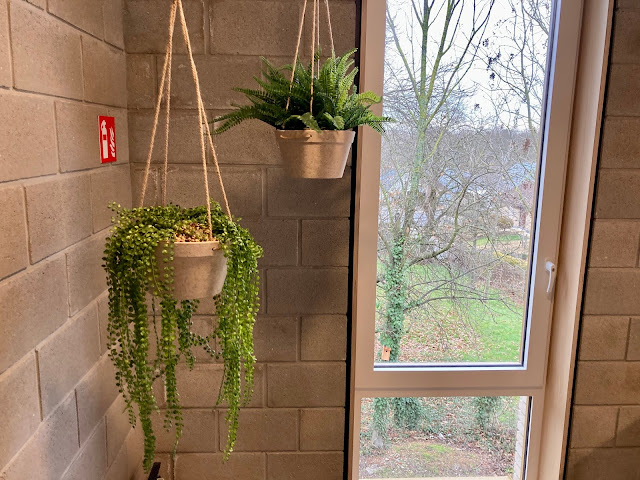 goedkope kunstplanten kopen voor bedrijven of particulier prijzen op aanvraag voor buiten binnen hangend of in pot tegen muur met bloemen op terras in de tuin en tegen wand