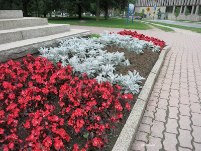 Toronto flower bed