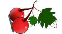 cherry clipart png