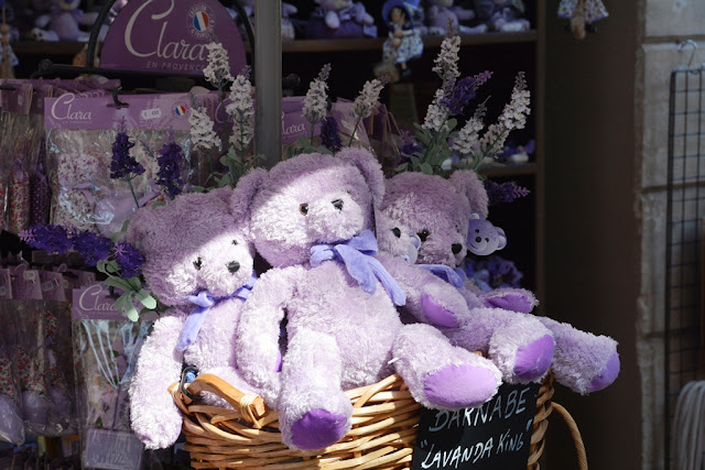 Avignon lavendel bear