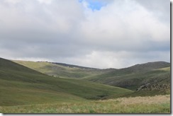 IMG_8438