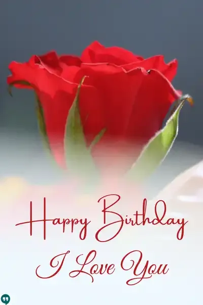 beautiful happy birthday i love you images with red rose