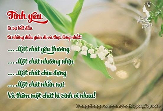 sua may tinh gia re 