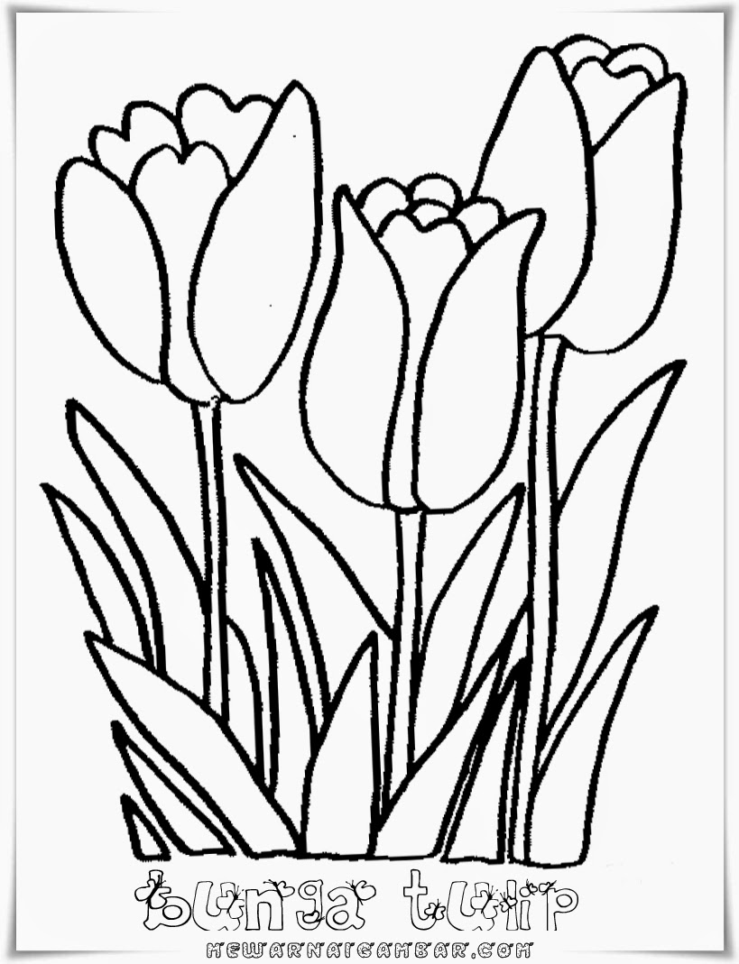  Gambar Bunga Tulip Animasi Hitam Putih