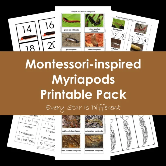 Montessori-inspired myriapods printable pack