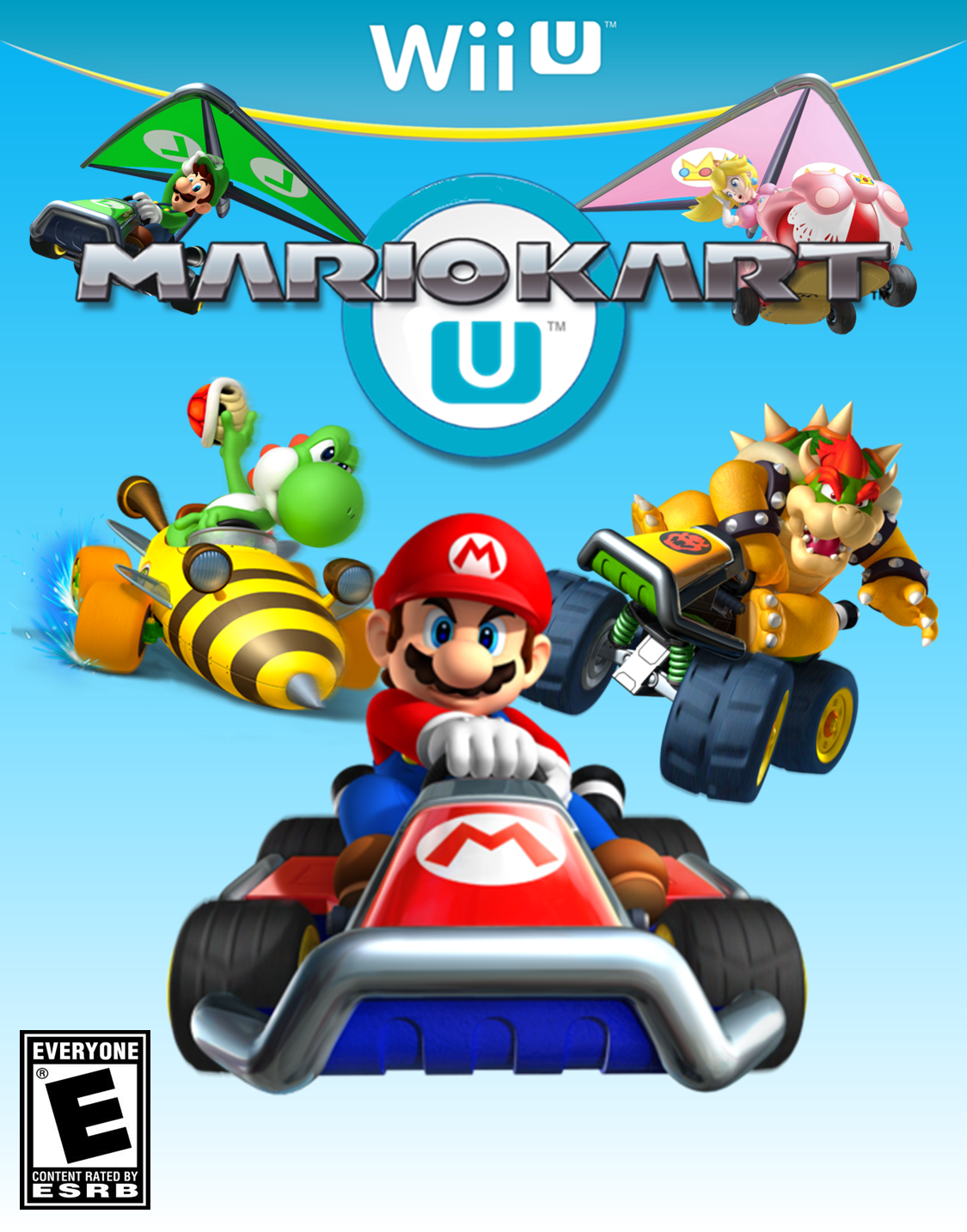 how to download mario kart wii on pc