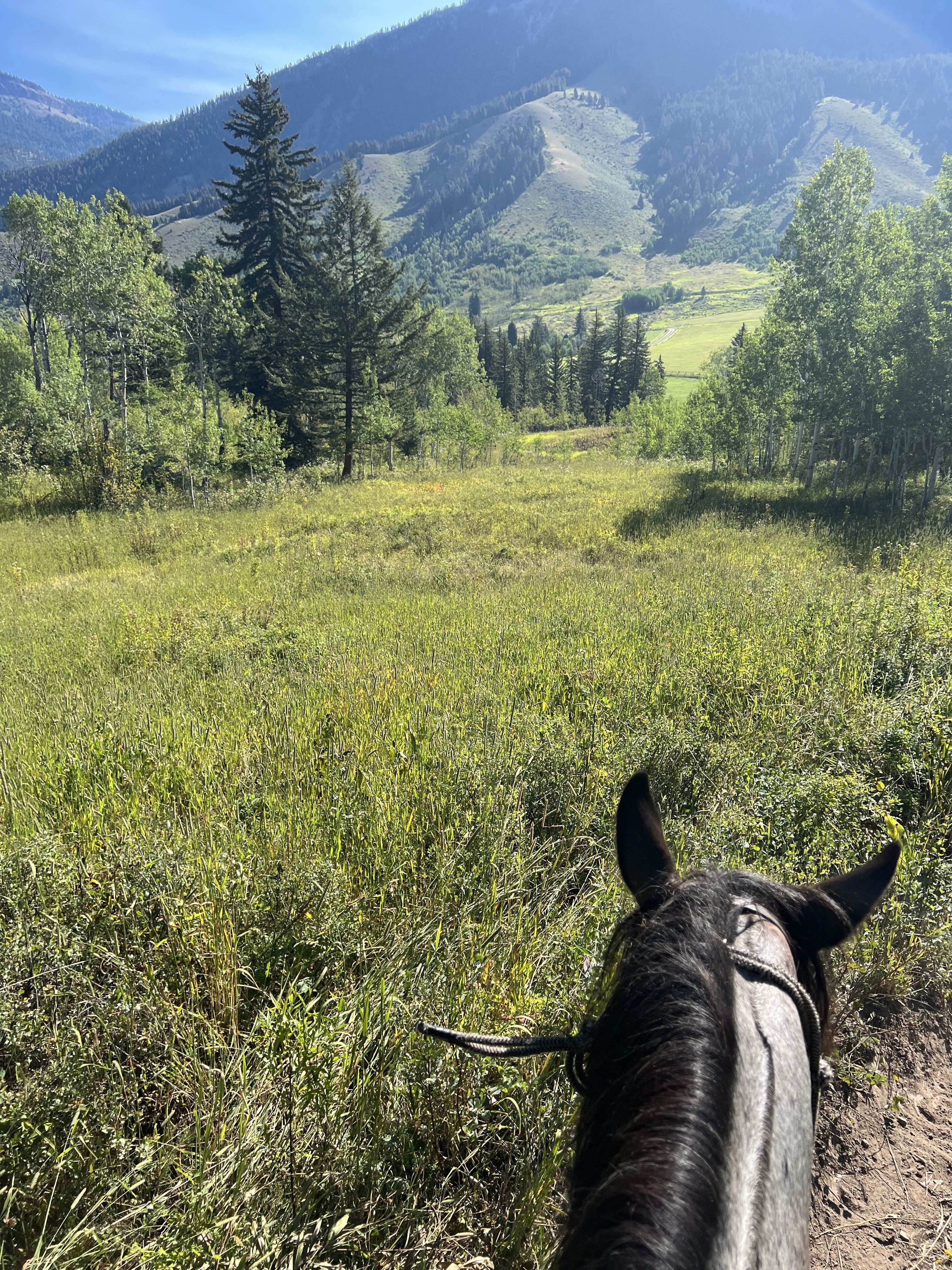 grand teton national forest, horseback riding in jackson wyoming