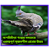 অপরিচিতা গল্পের সবচেয়ে গুরুত্বপূর্ণ সৃজনশীল প্রশ্নের উত্তর  । অপরিচিতা গল্পের বিষয়বস্তু সংক্ষেপে । অপরিচিতা গল্পের মূলভাব । 