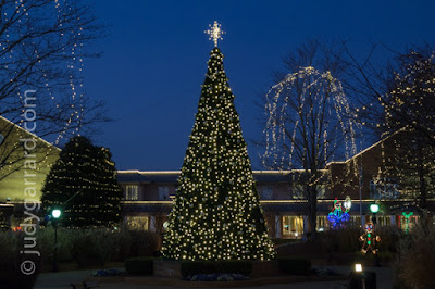 City  of Smyrna Christmas Tree