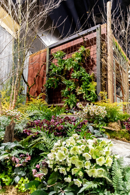 From the NW Flower & Garden Festival to Great Plant Picks, fragrance takes  center stage