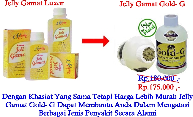 Jelly Gamat Luxor