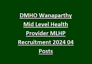 DMHO Wanaparthy Mid Level Health Provider MLHP Recruitment 2024 04 Posts