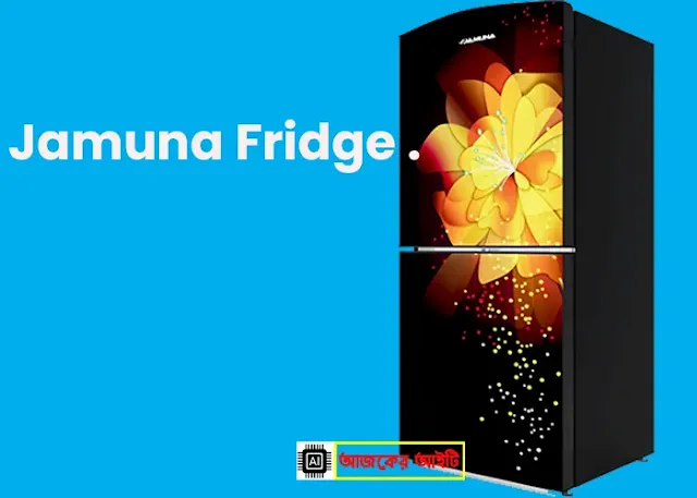 যমুনা ফ্রিজ ১০ সেফটি দাম কত - Jamuna Fridge Price