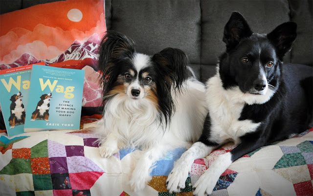 Two cute dogs pose on a settee with copies of Wag: The Science of Making Your  Dog Happy