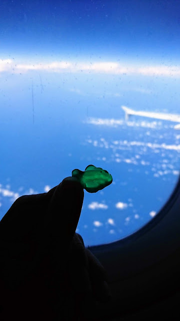 05-tap-air-portugal-meal-jelly-candy-tap-air-portugal-from-lisbon-to-budapest