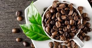 Green Coffee Max Reviews