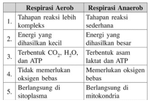 Soal Latihan PG Biologi Kelas 12 Terbaru dan Pembahasannya