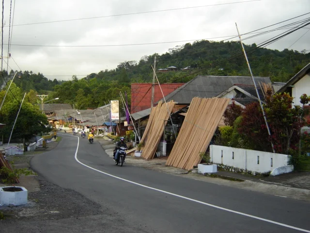 wooden planks are being dried under the sun.