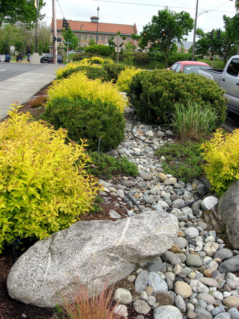 Seattle Garden Ideas: DESIGN IDEAS