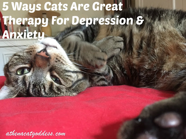 5 Ways Cats Are Great Therapy for Depression & Anxiety