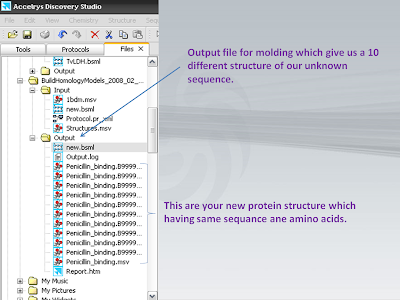 HOMOLOGY MODELING