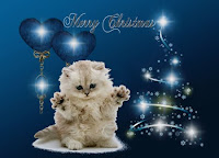 Christmas Kitten Background